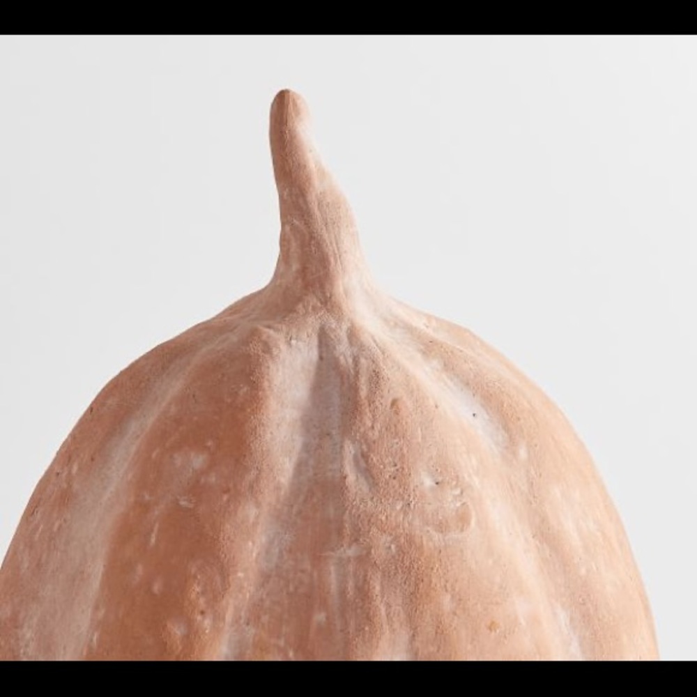 Pottery Barn Terra Cotta Pumpkin - Picture 12 of 12